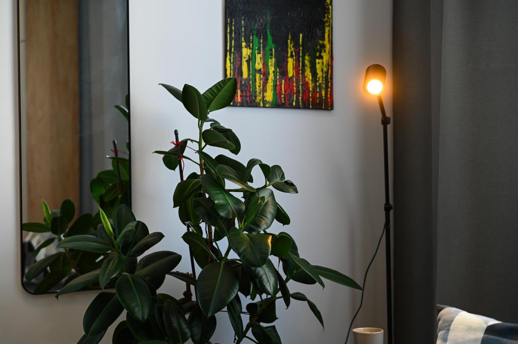Center - Comfy & Modern Pressburg