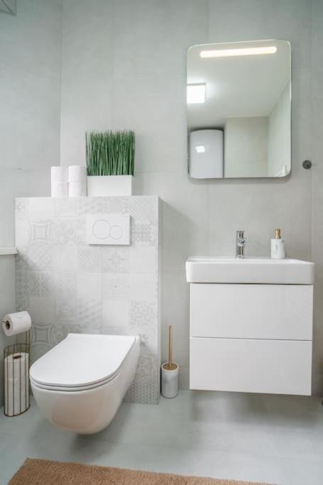 Charming 2-bedroom In The Wider Center Of