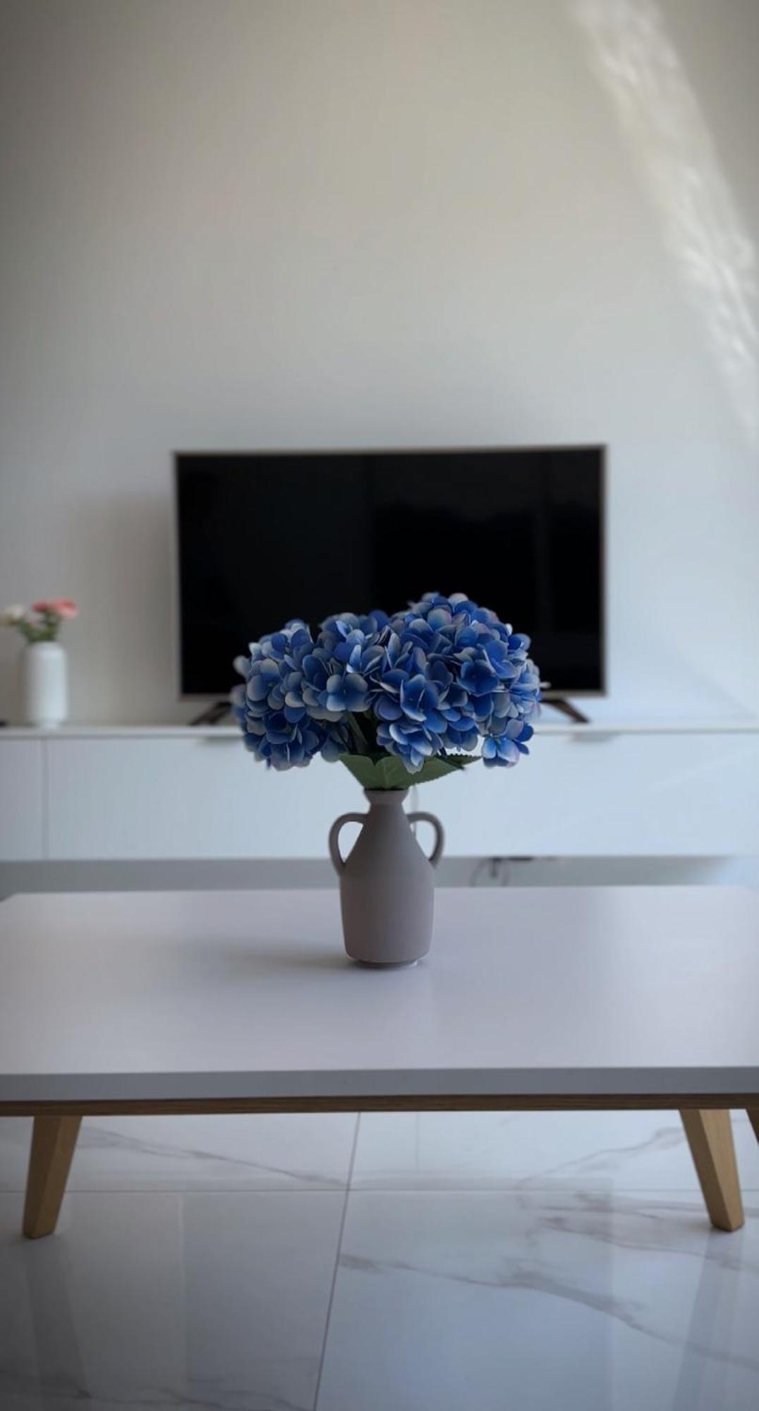 Apartment Skau Zuckermandel Danube View Free Parking