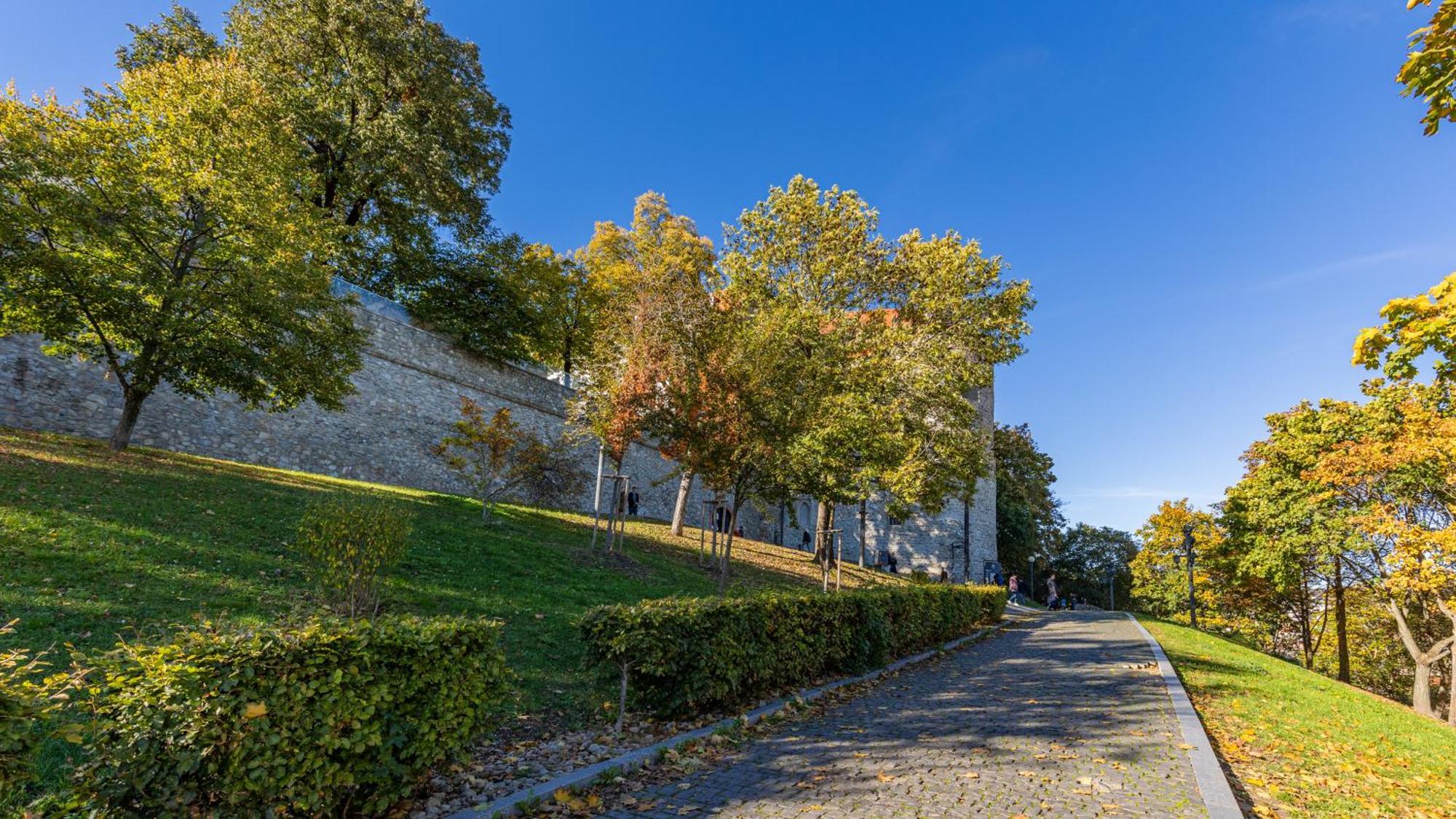 Castle Vista Getaway, Free Parking Apartment