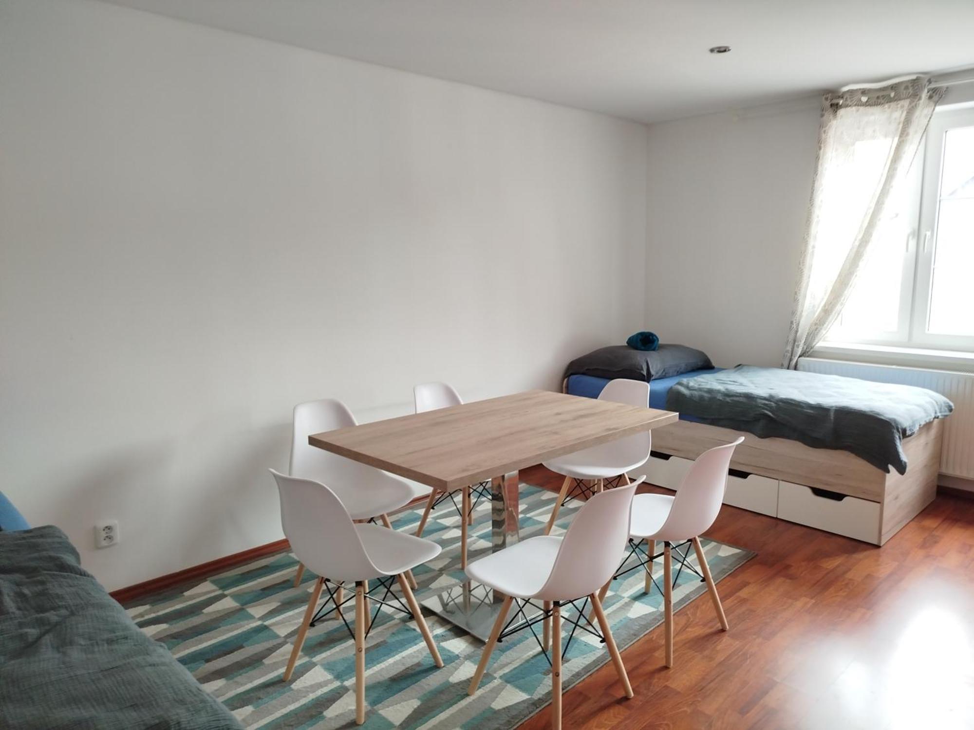 Big Huge Center 84m Nivy Apartment *