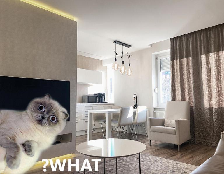 Luxury Lifestyle In *