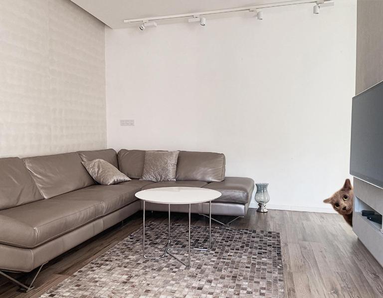 Apartment Luxury Lifestyle In