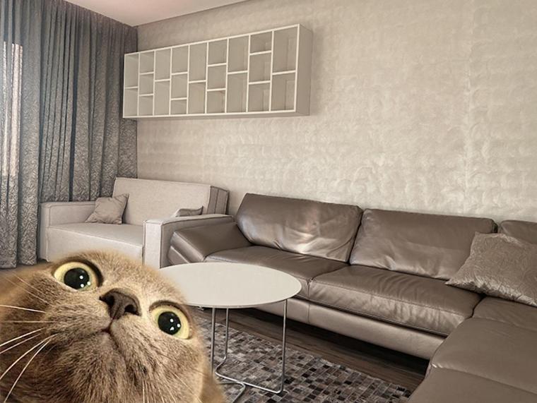 Luxury Lifestyle In Apartment *