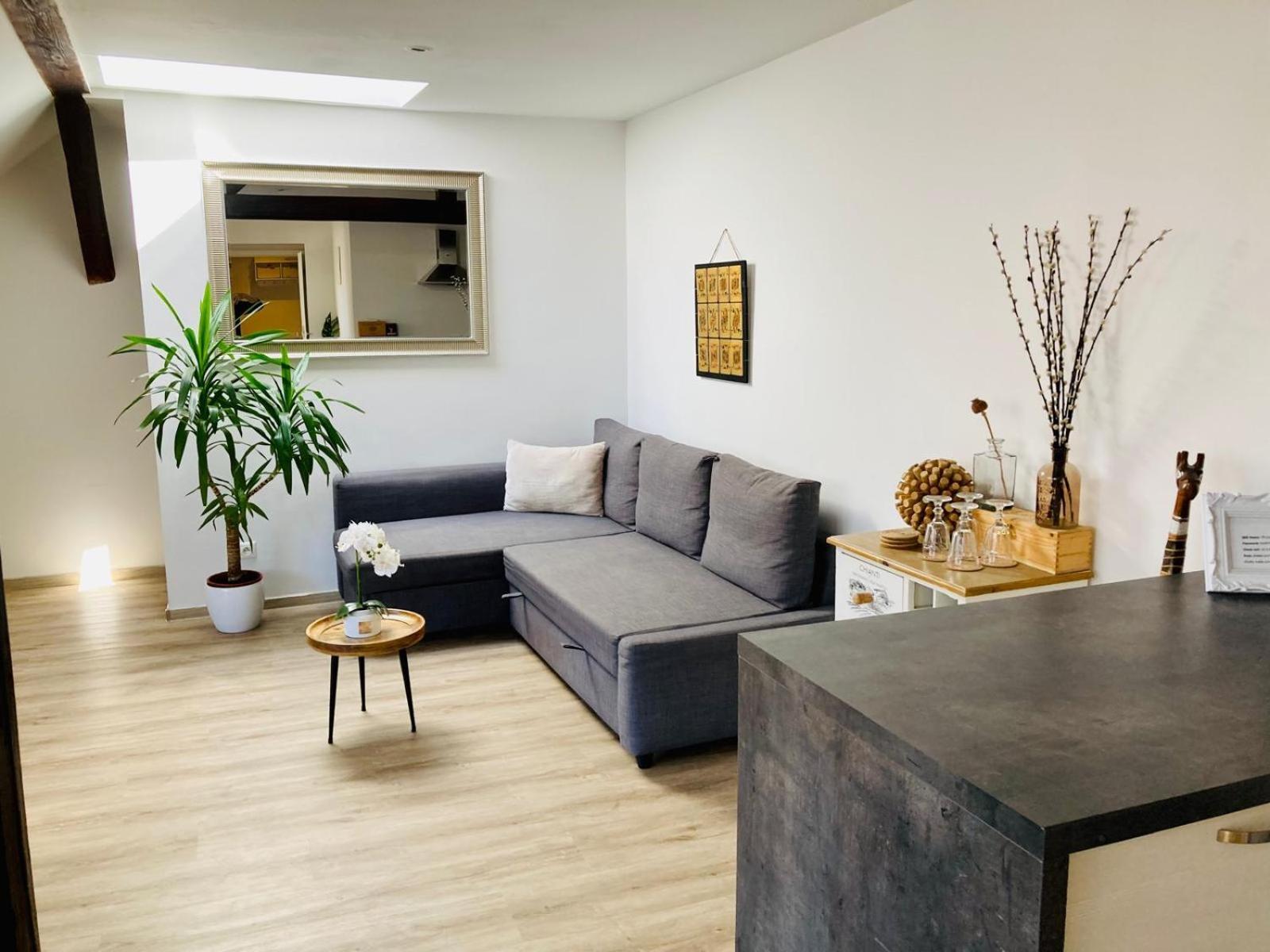Vip In Old Town With Free Parking Apartment Bratislava