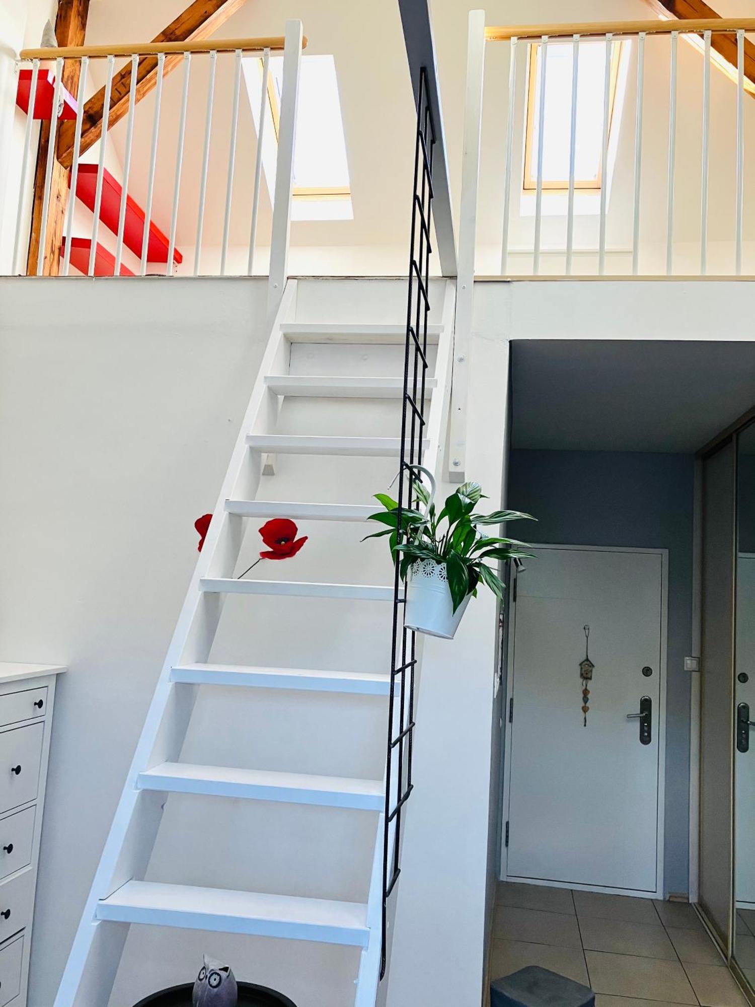 Apartment Stylovy