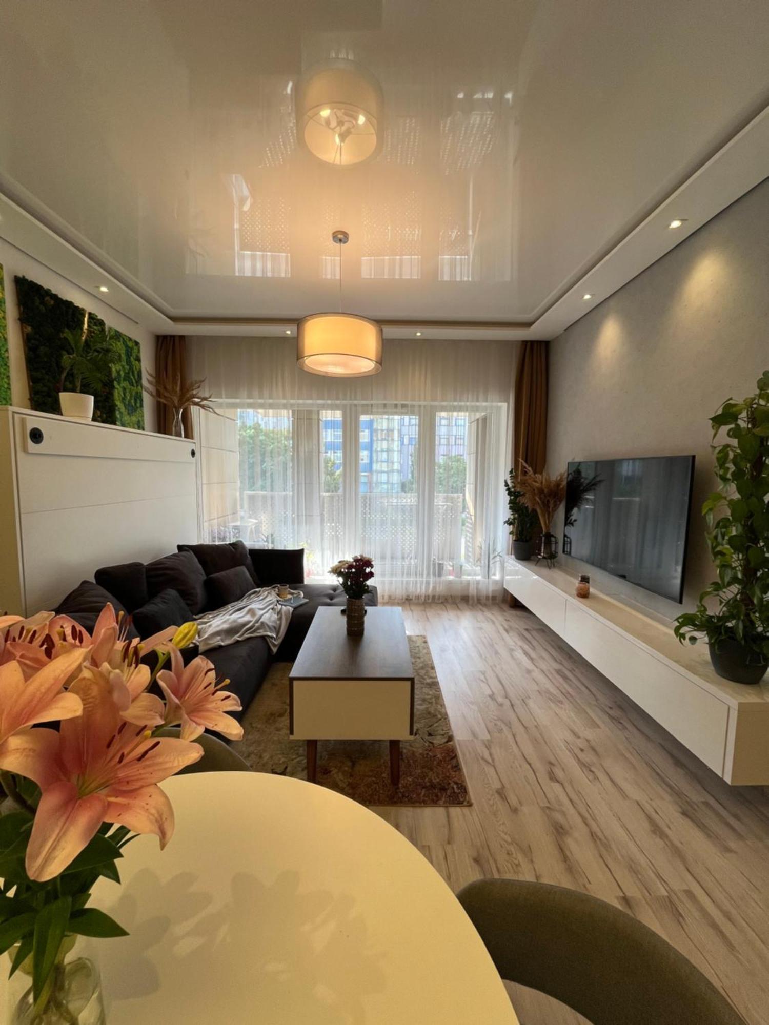 Cozy Apartment