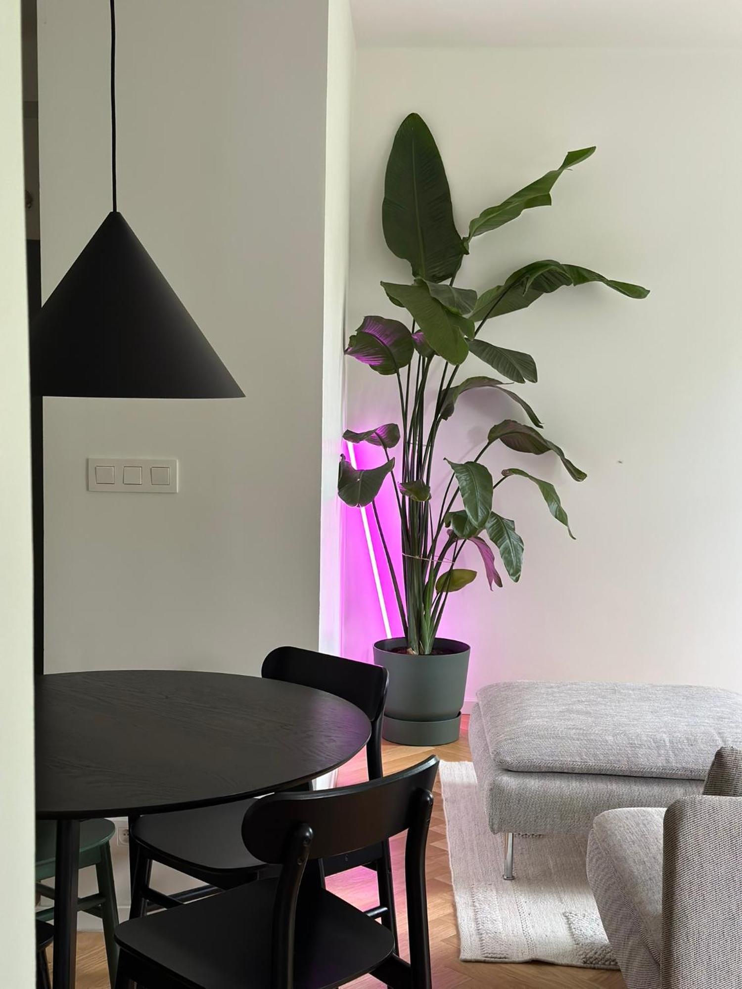 Apartment Design With Atmosphere *