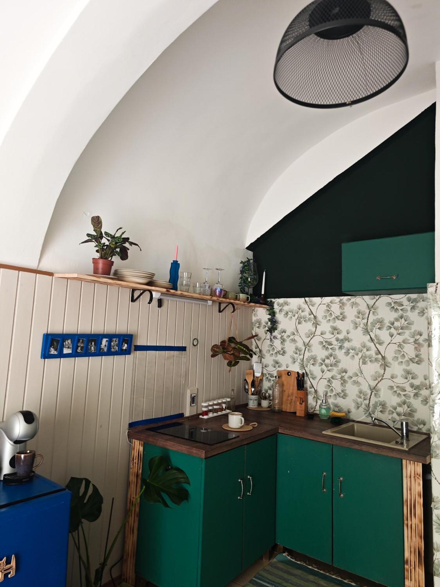 Vintage With Garden View Apartment