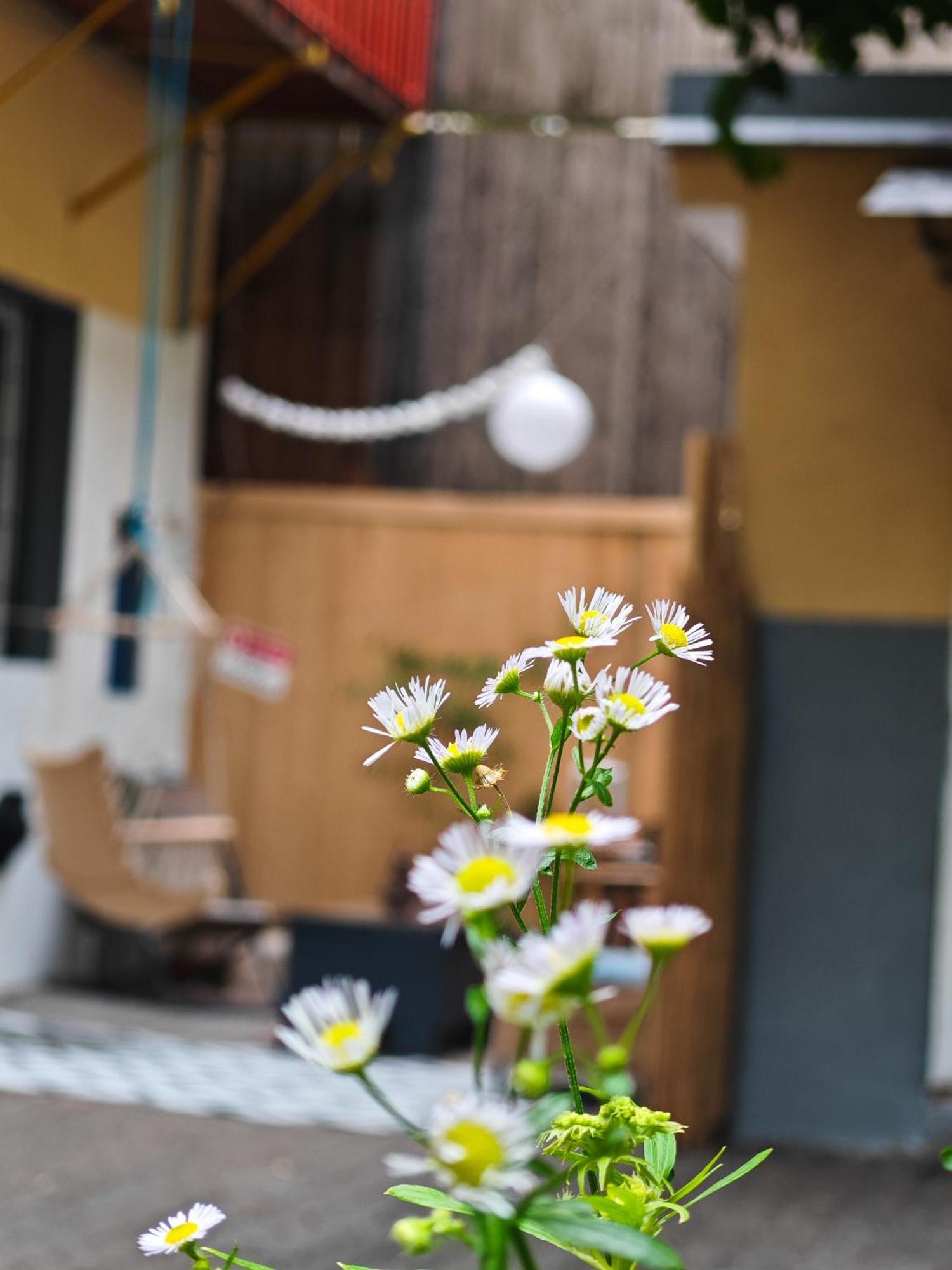 Apartment Vintage With Garden View *