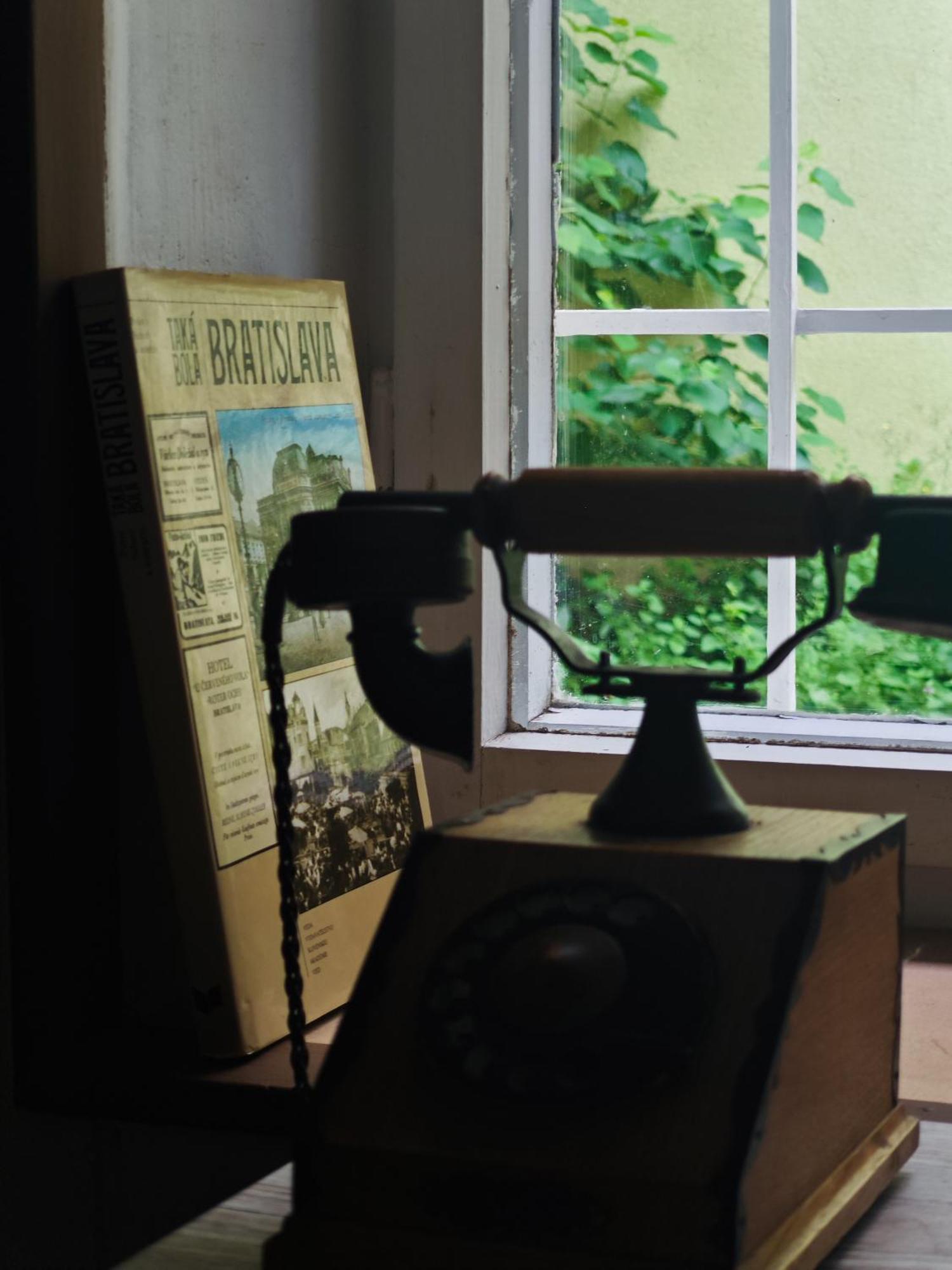 Vintage With Garden View *
