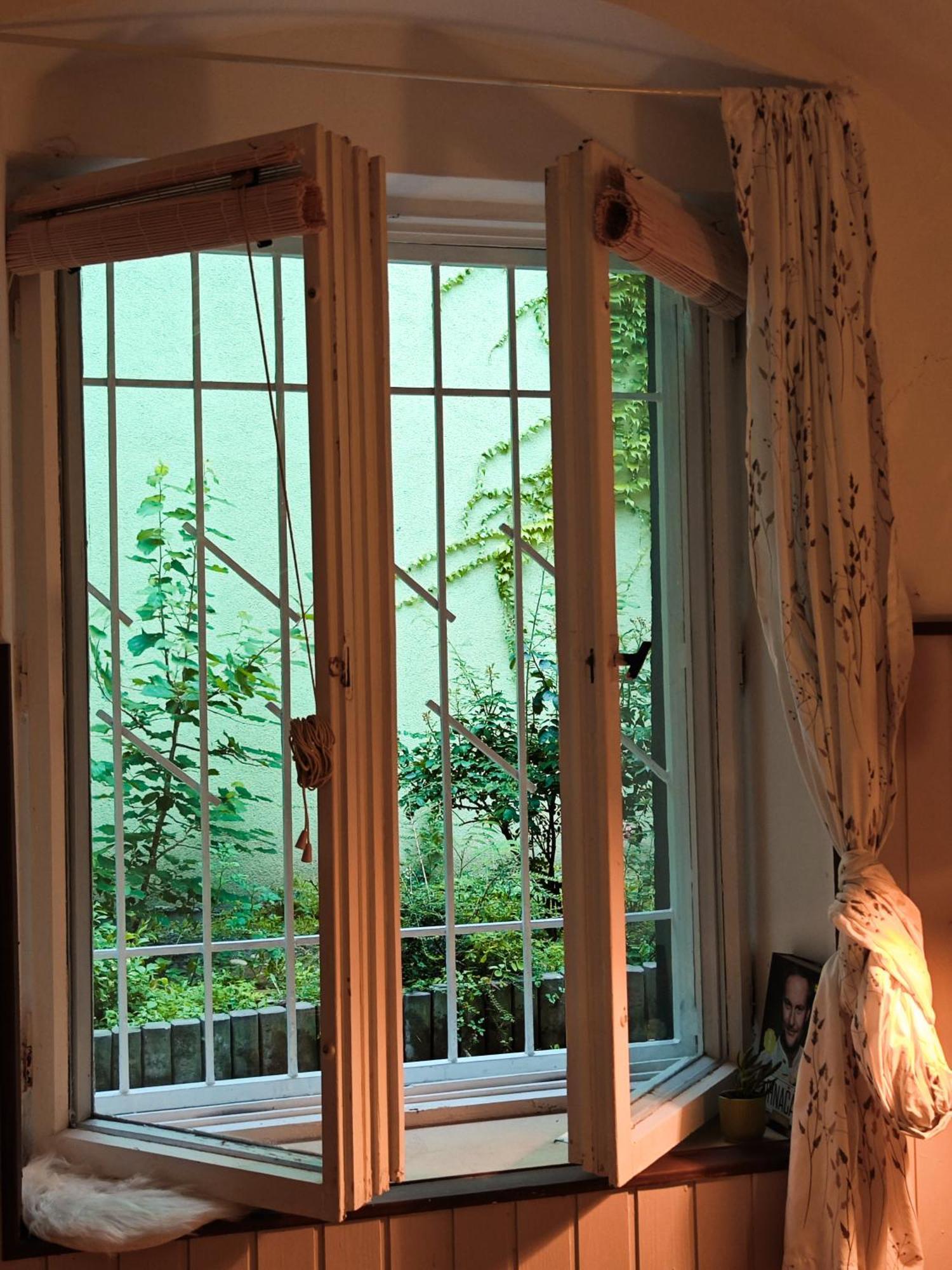Apartment Vintage With Garden View