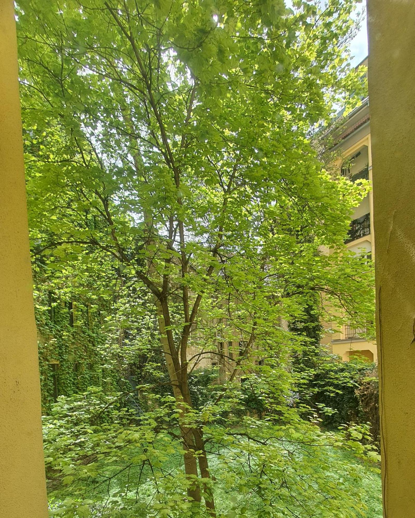Mlynske Nivy 6, Ba Apartamento