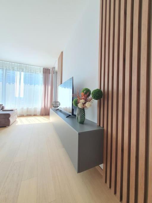 Modern Apartment With Garage Parking Apartment