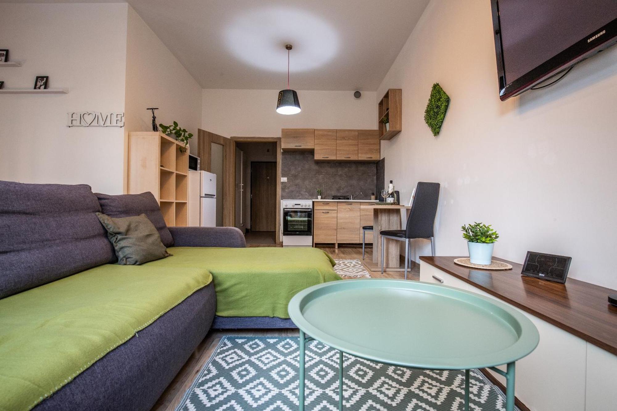 Apartment Sancova Street