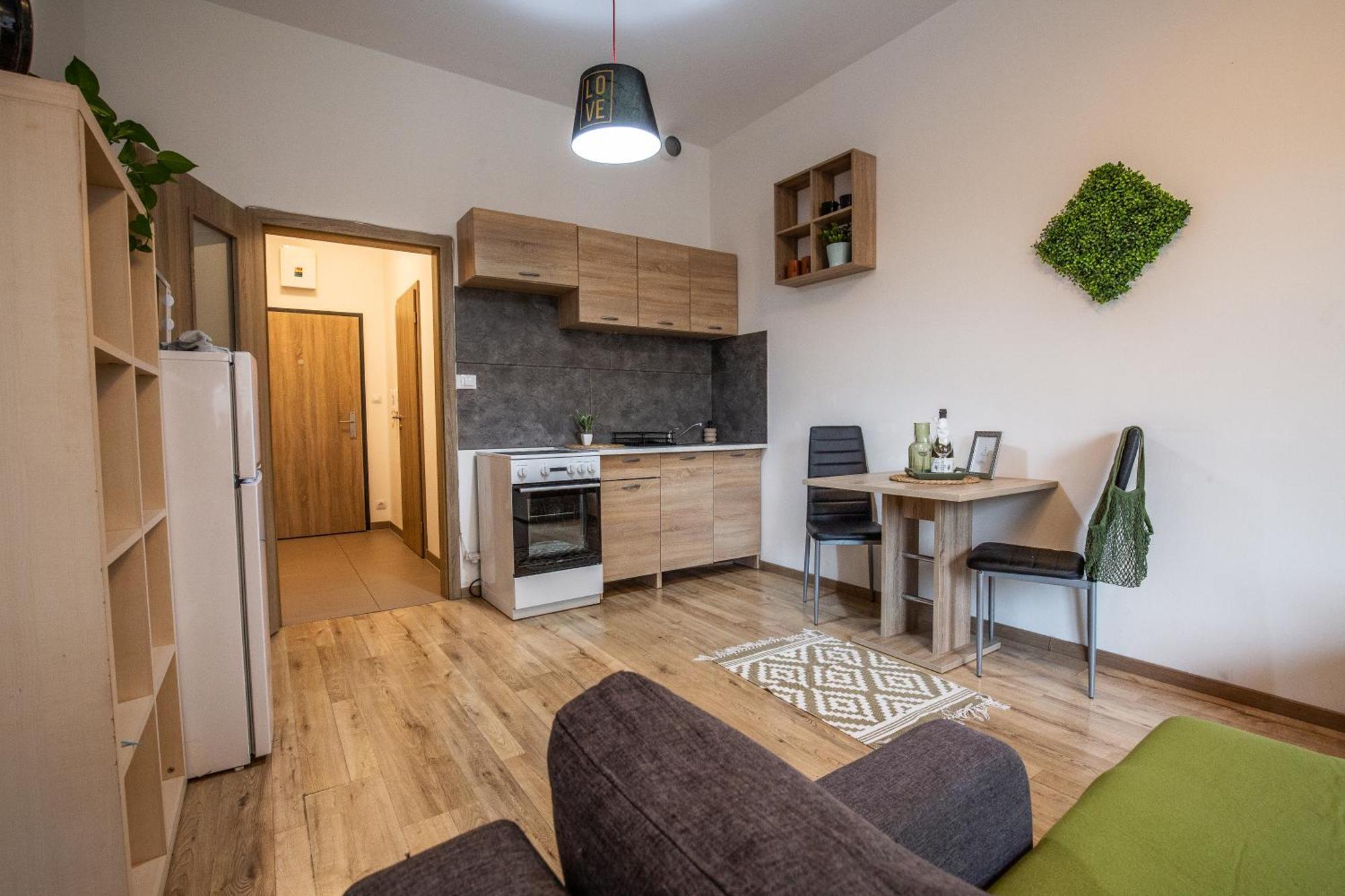 Apartment Sancova Street