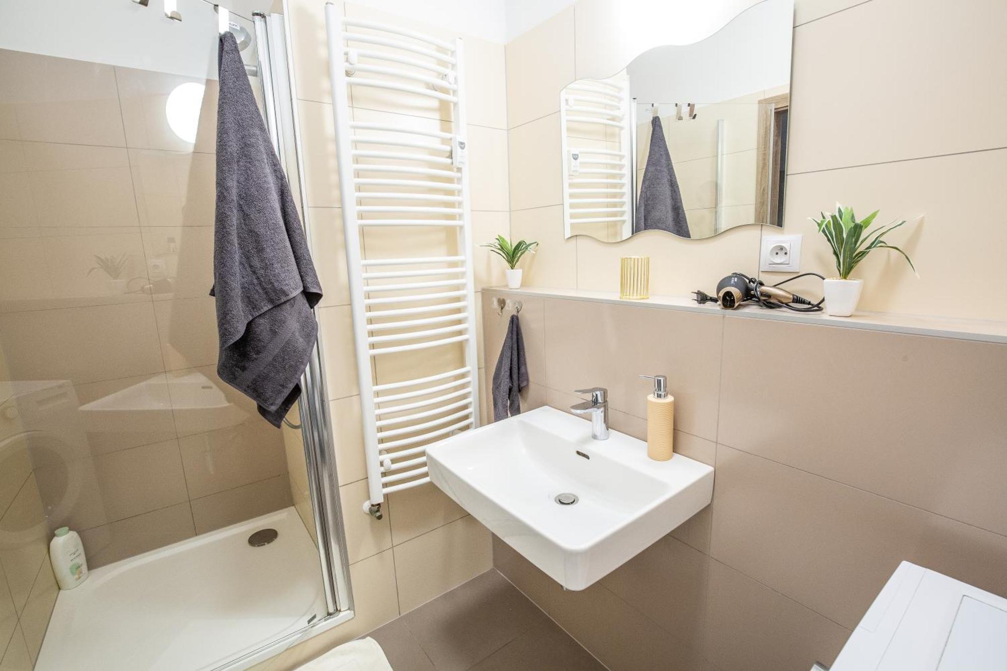 Sancova Street Apartment *