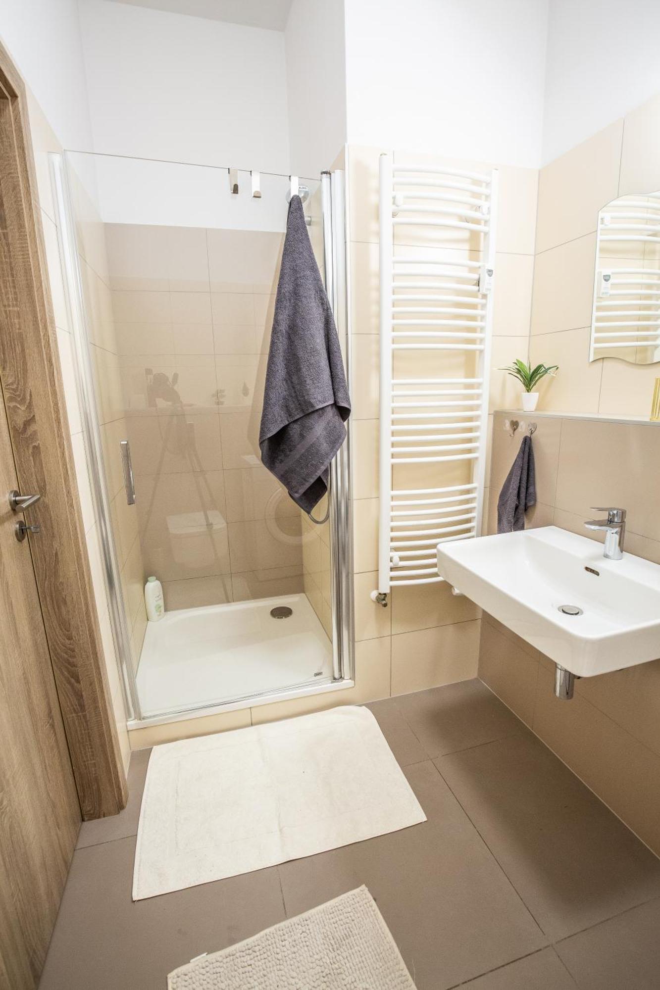 Apartment Sancova Street Bratislava
