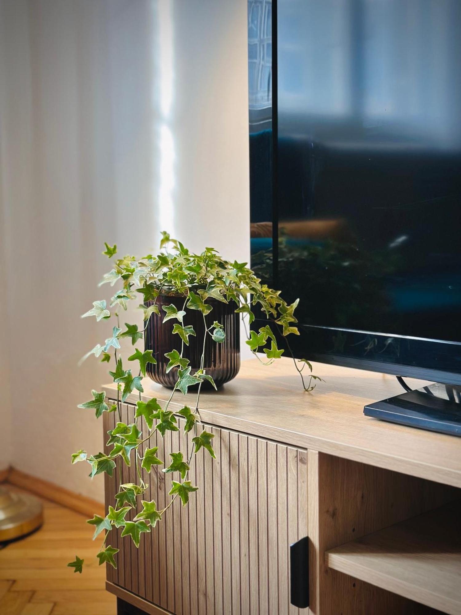 Boho In Old Town Apartment