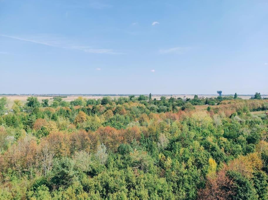 Airport For Two, Free Parking, Airport View