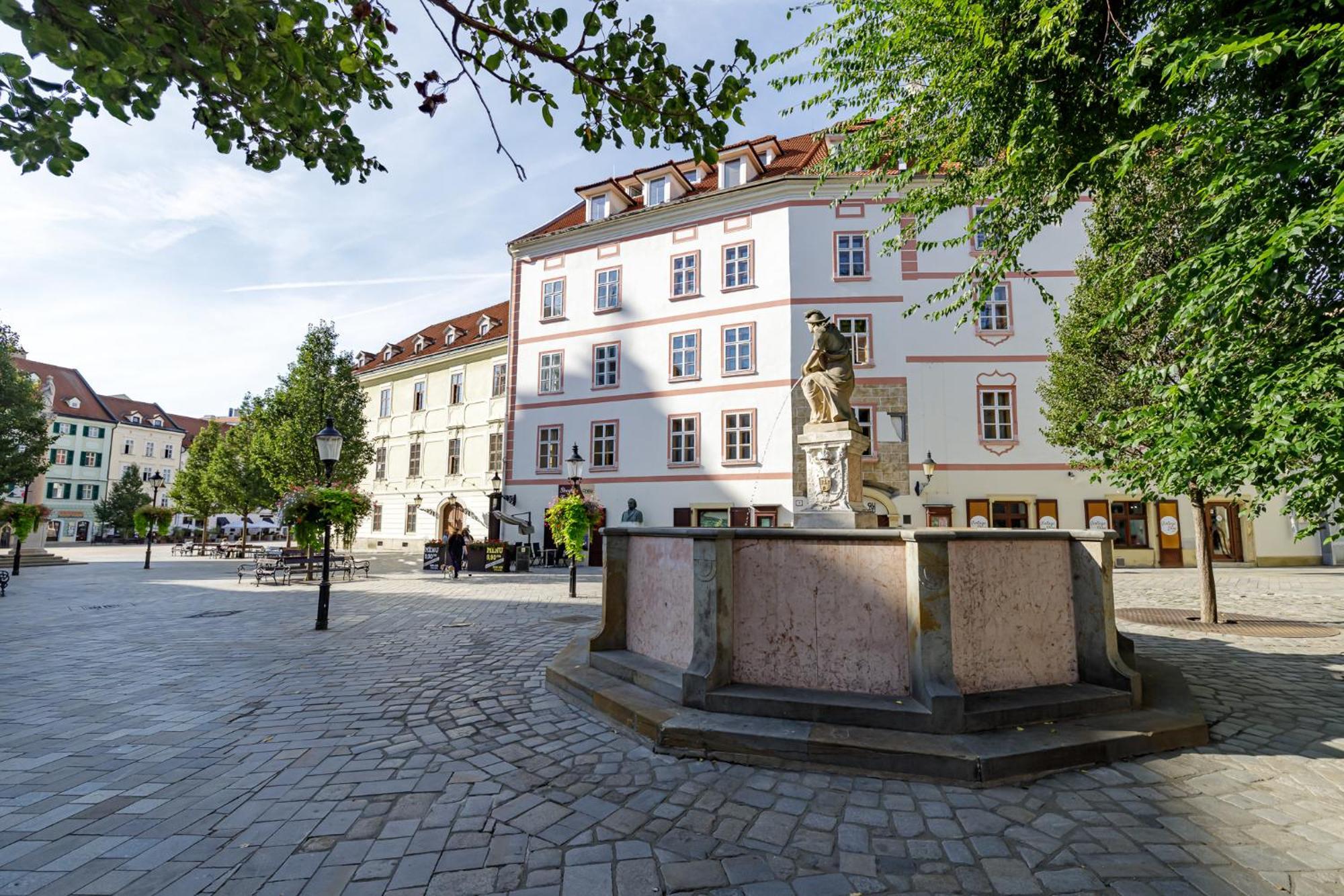 Arya - Spacious Penthouse Duplex With Rooftop Patio In The Main Square Apartment