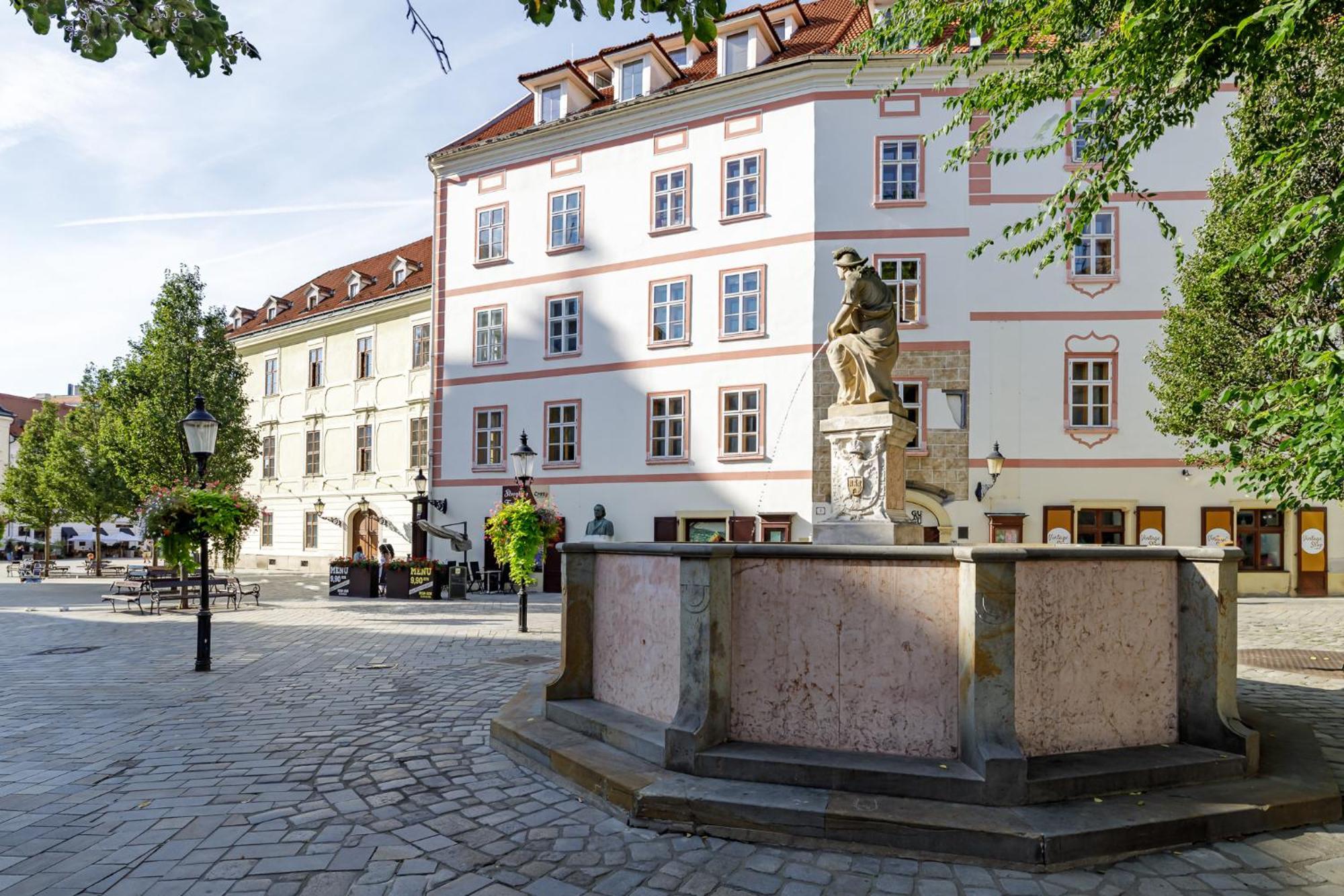 Apartment Arya - Spacious Penthouse Duplex With Rooftop Patio In The Main Square