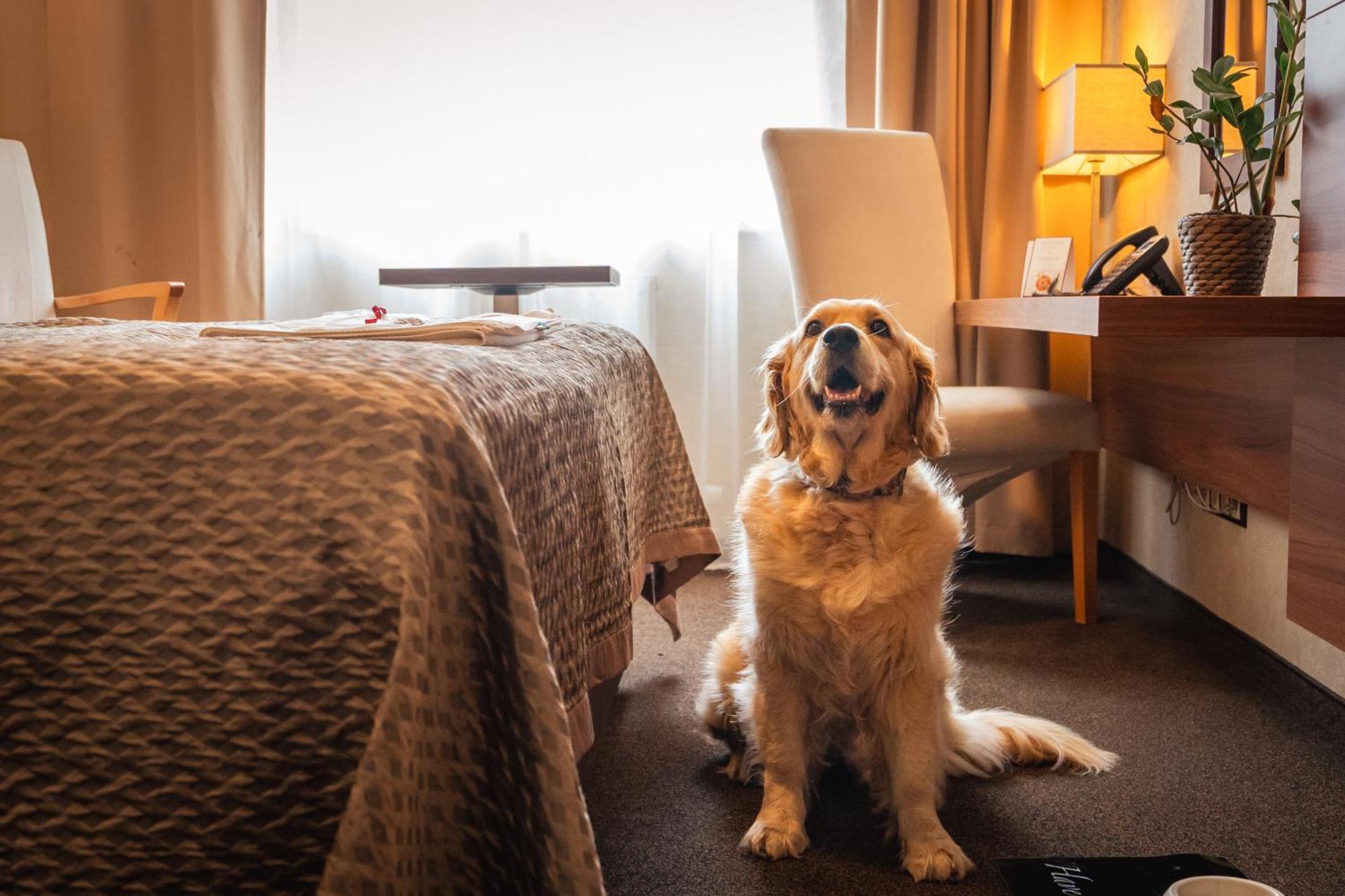 Hotel Premium Business 4*