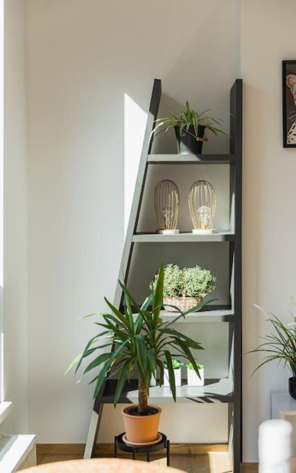 Apartment Citypark *