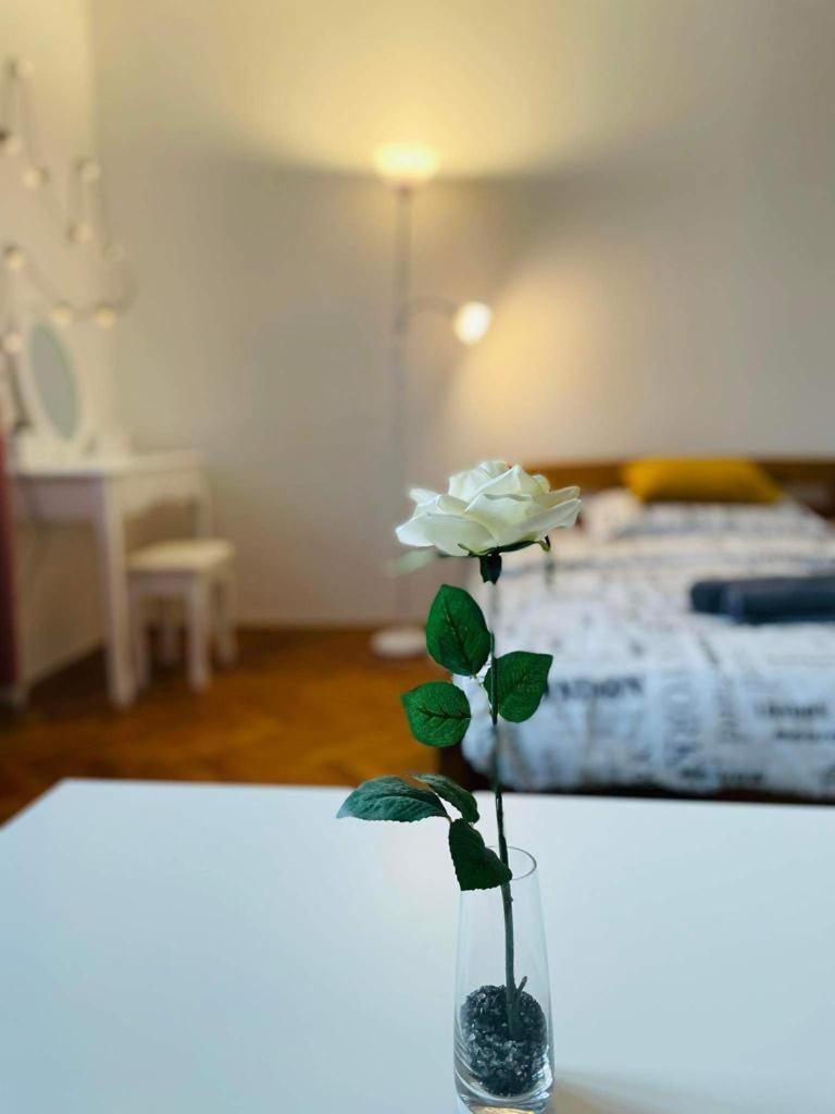 Lovely 2bdr In Center, Wifi & Self-check In * Bratislava