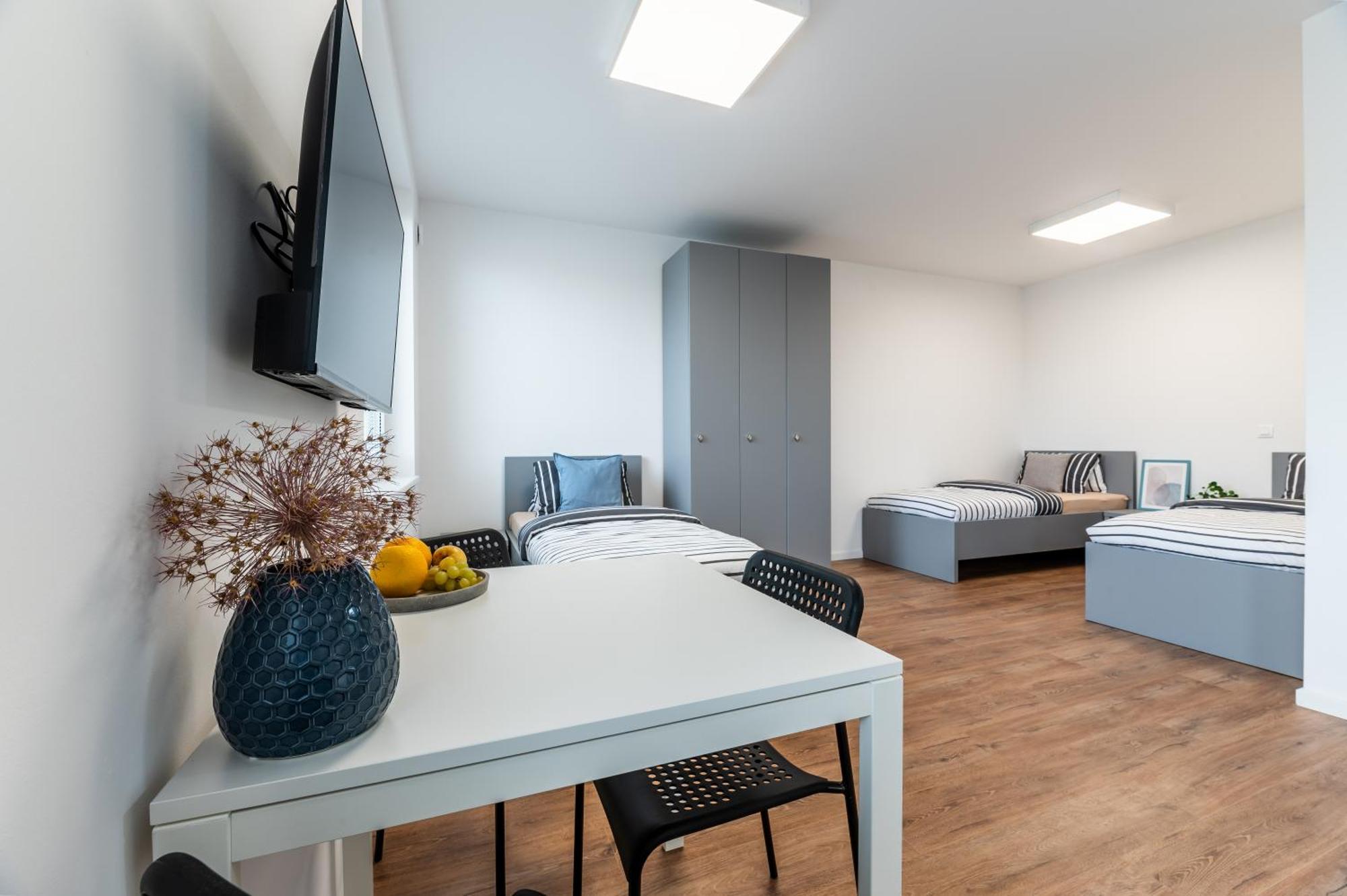 Apartment Bytovy Dom Bory Bratislava