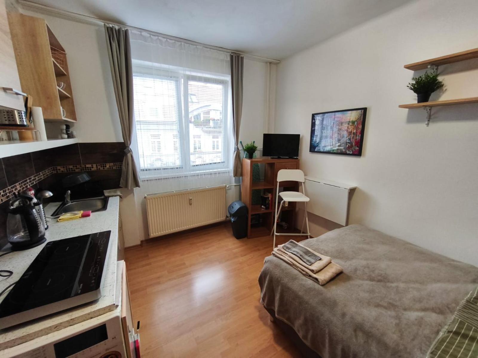Apartment Petite Urban Oasis *