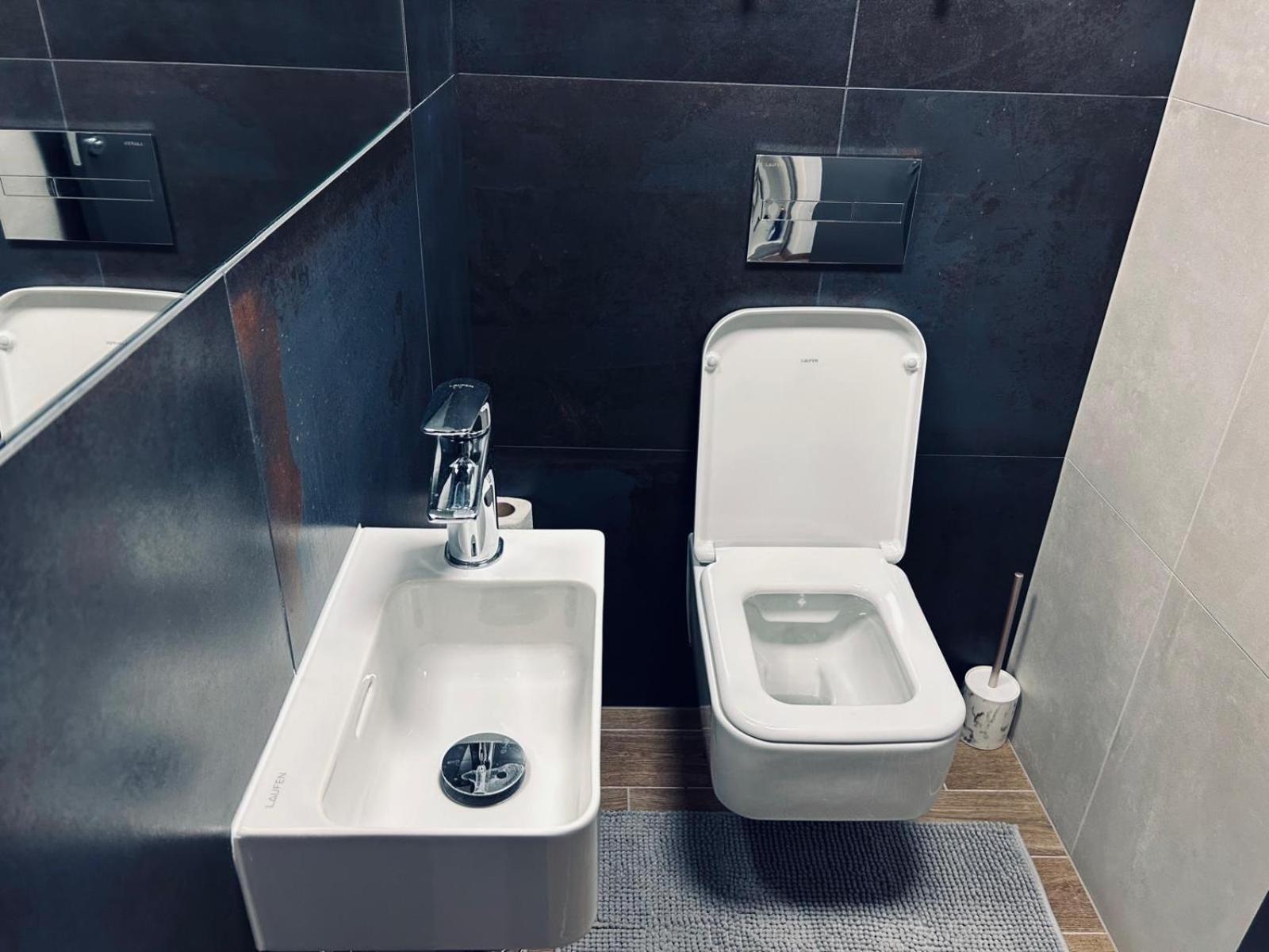 Euroveagreyluxury Apartment