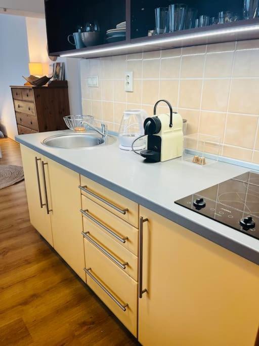 Apartment Stylish In The Old Town Bratislava