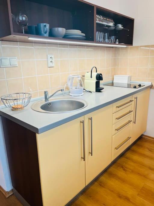 Apartment Stylish In The Old Town Bratislava