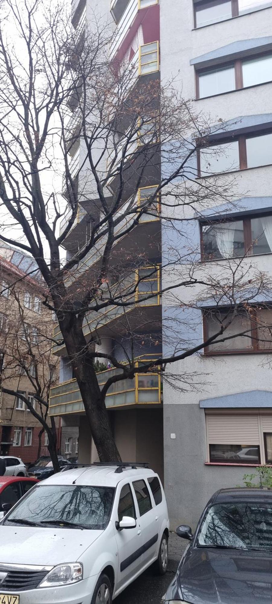 Huge Next To Train Station Close To The Center Apartment Bratislava