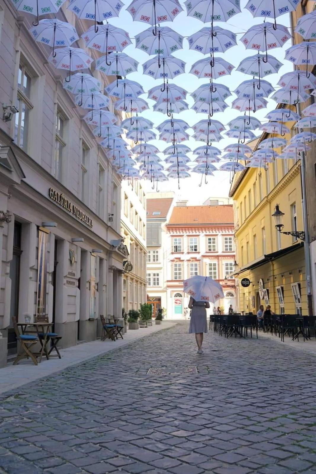 Apartment Royal In Old Town Bratislava
