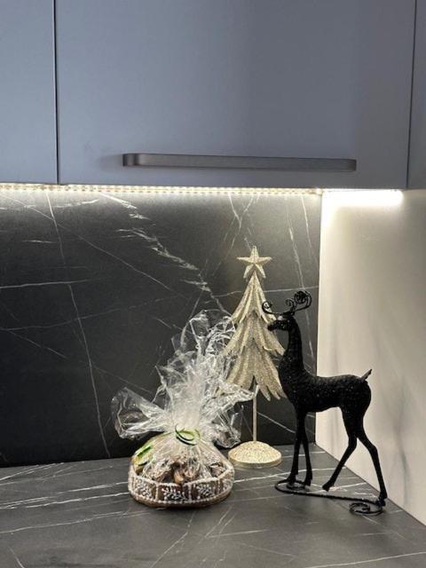 Apartment Modern Beautiful Close To The Center Bratislava