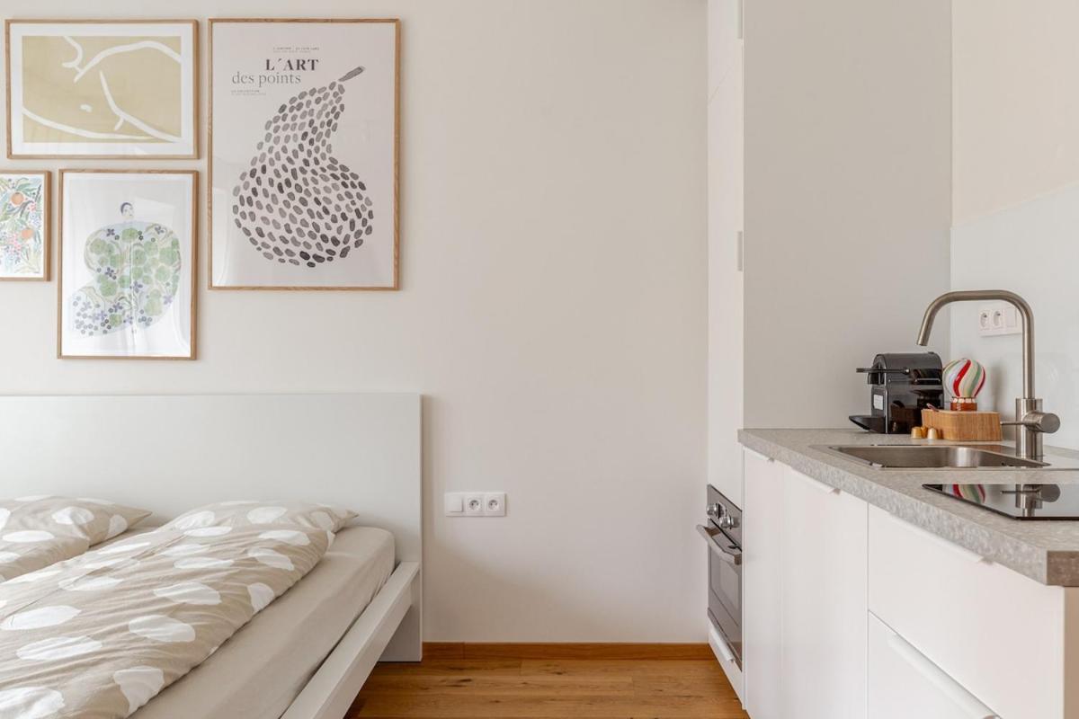 Apartment Newly Renovated 1-room In Historic Center Bratislava