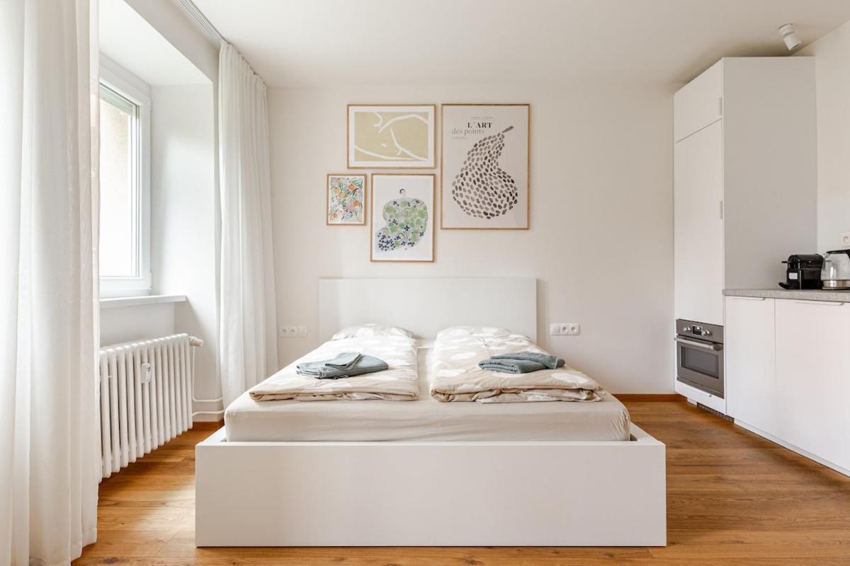 Newly Renovated 1-room In Historic Center
