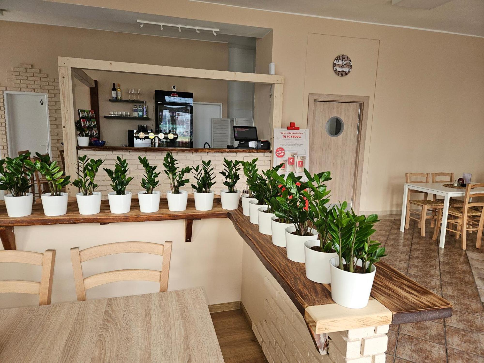 Hotel Prim 2*