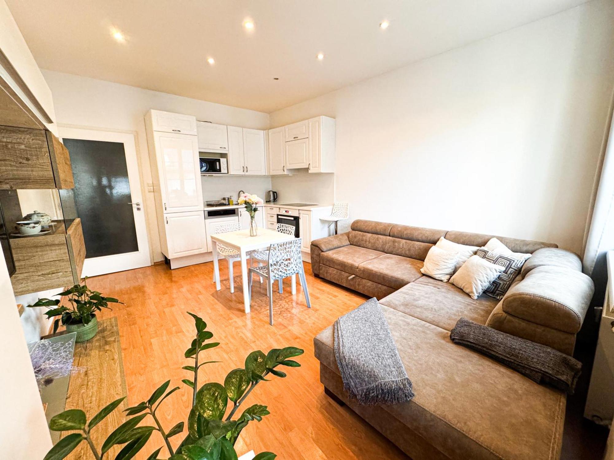 Apartment Gorgeous Center In With Free Parking *
