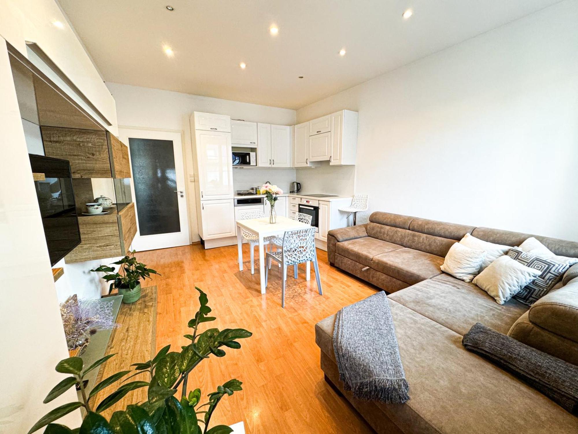 Gorgeous Center In With Free Parking Apartment Pressburg