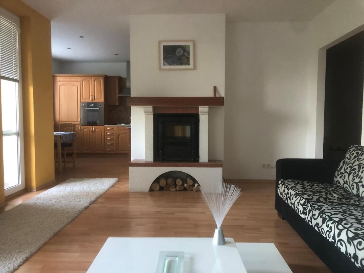Apartment Spacious With A Fireplace In The