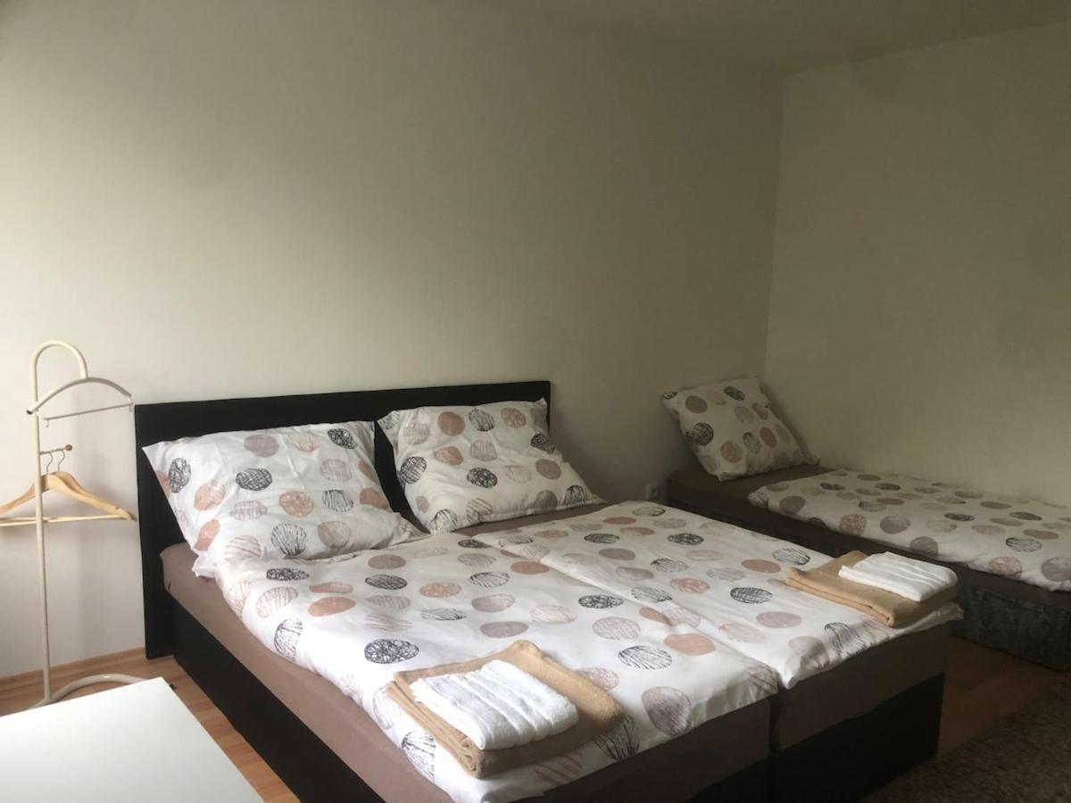 Spacious With A Fireplace In The