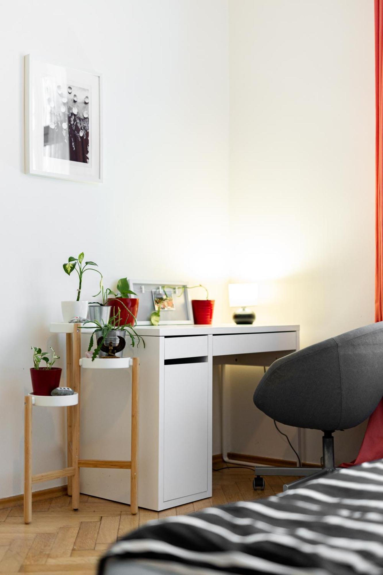 Apartment Cozy In Historic *