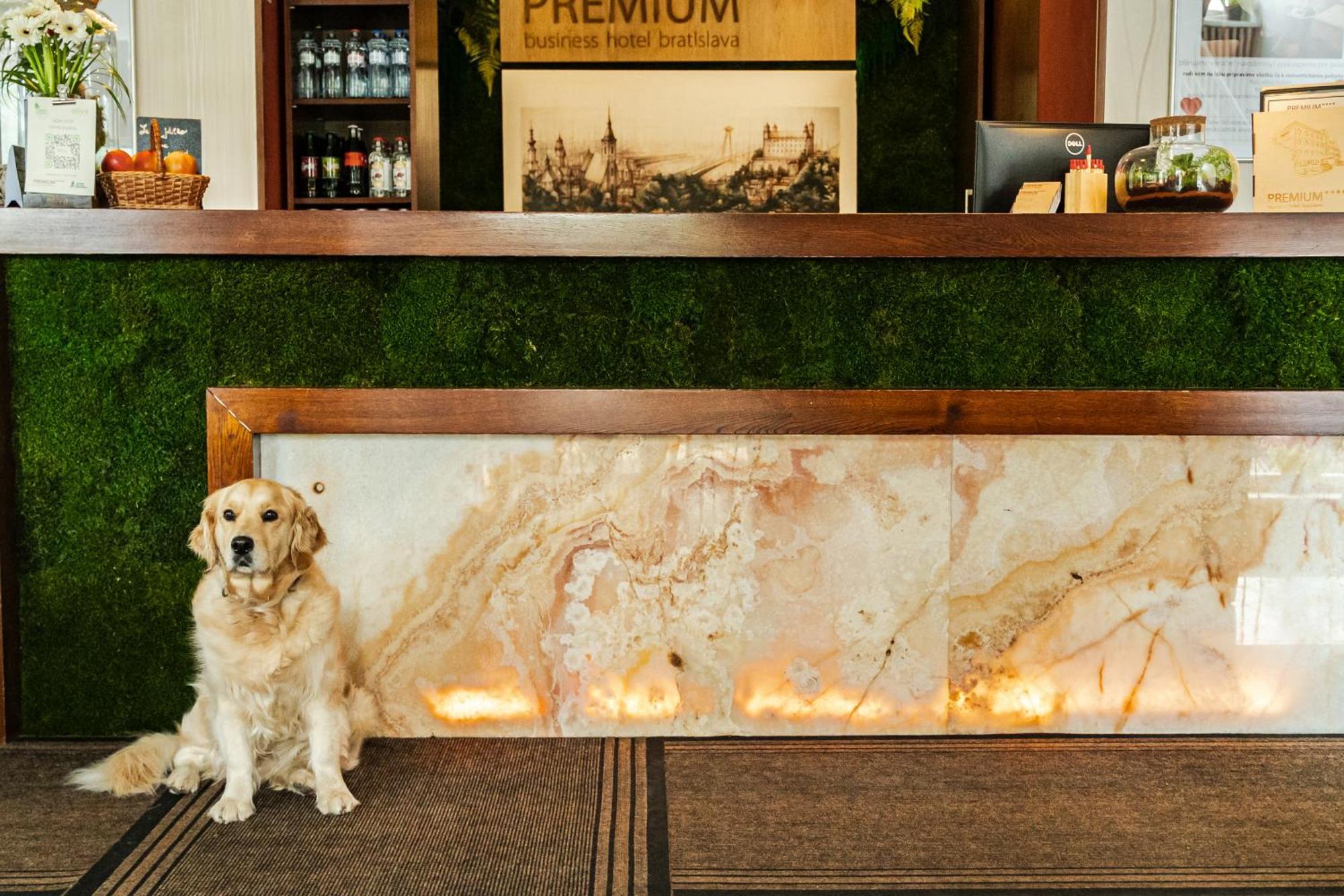 Hotel Premium Business 4*