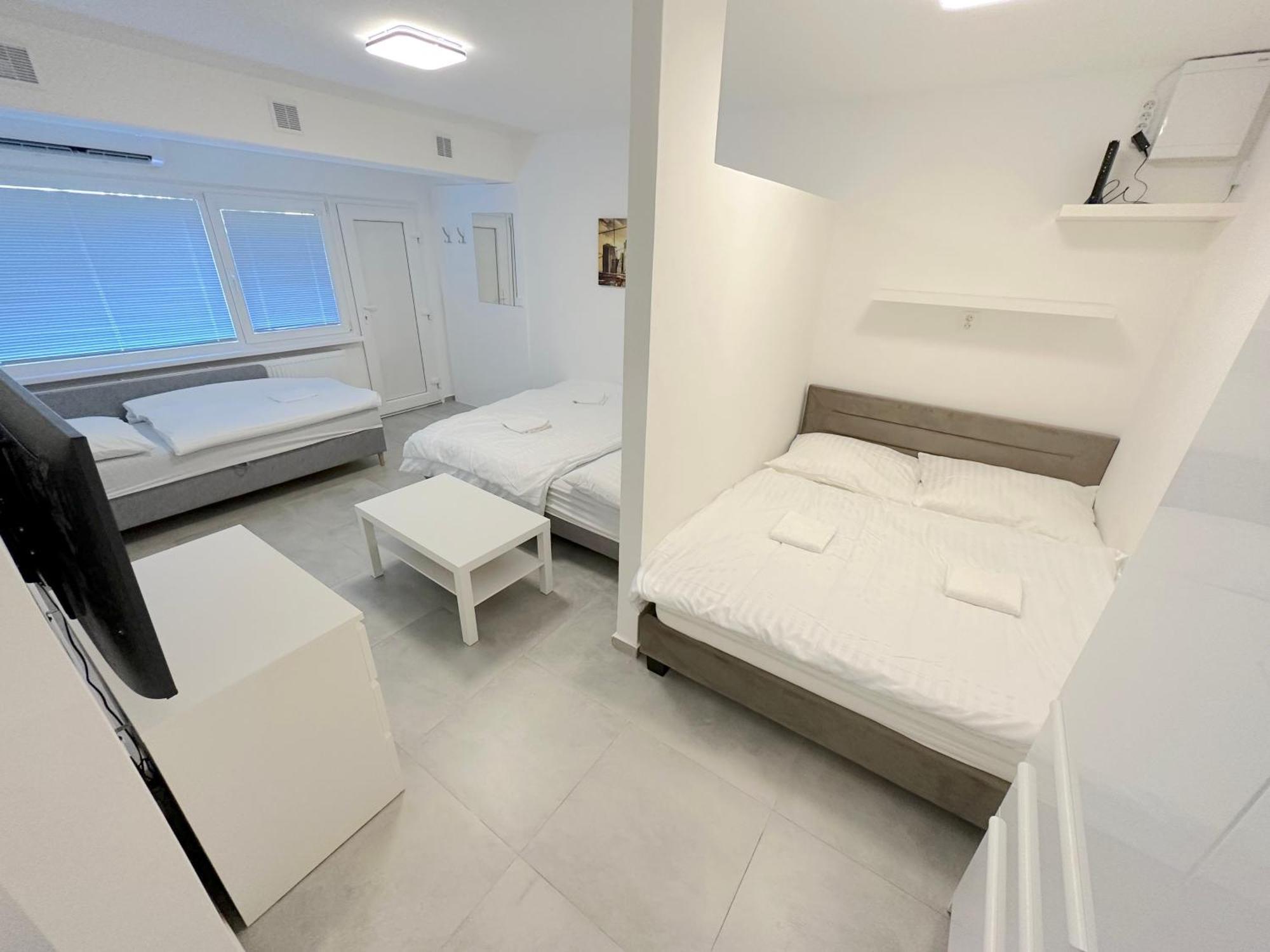 Apartment Krasny - Perfektny V Novom Meste Bratislava