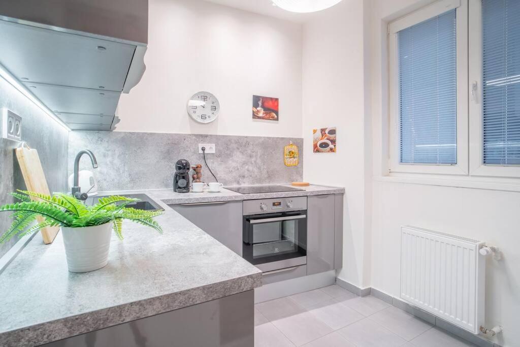 Sukromny Staromestsky V Uzasnej Lokalite/cozy Old-town In A Great Neighborhood Appartamento *