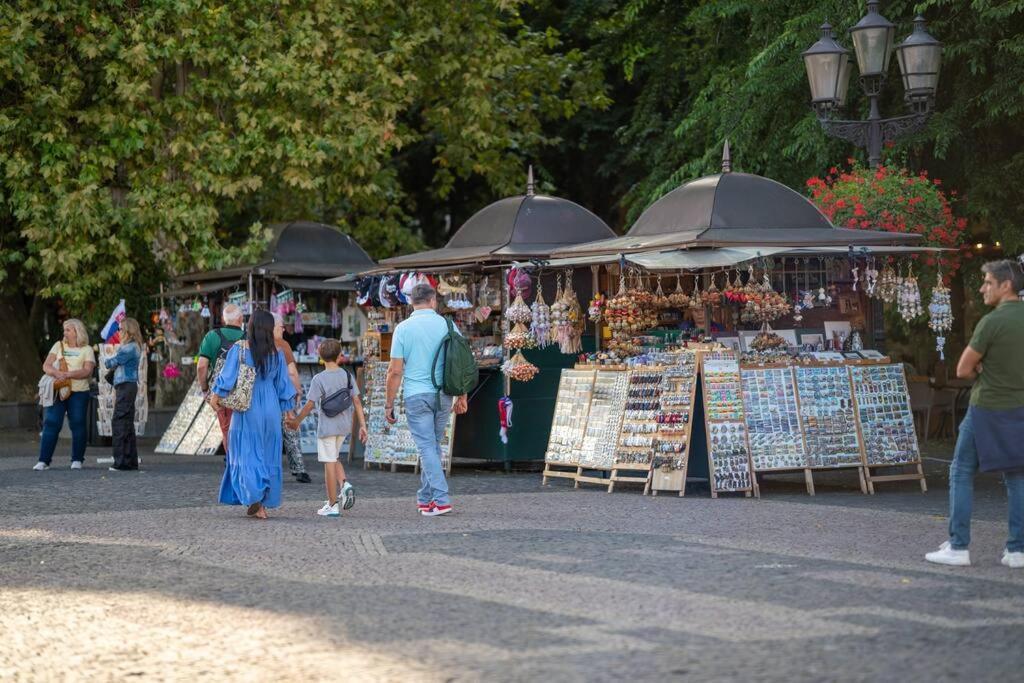 Sukromny Staromestsky V Uzasnej Lokalite/cozy Old-town In A Great Neighborhood