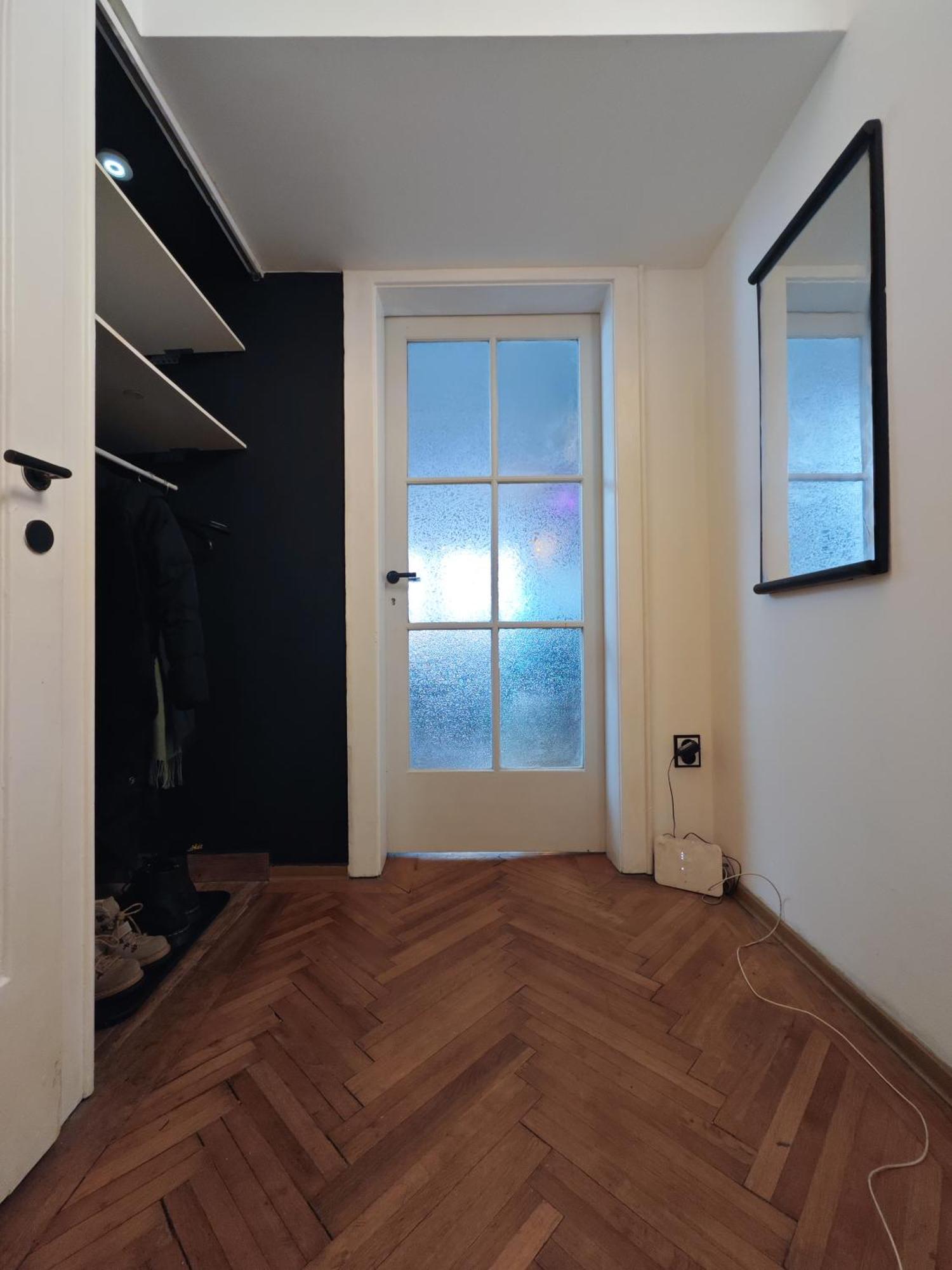 Apartment With Monkey Vibes